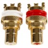 Термінал Audiobeat RCA Terminal (2 шт.)
